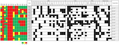 Antibiotic-resistant characteristics and horizontal gene transfer ability analysis of extended-spectrum β-lactamase-producing Escherichia coli isolated from giant pandas